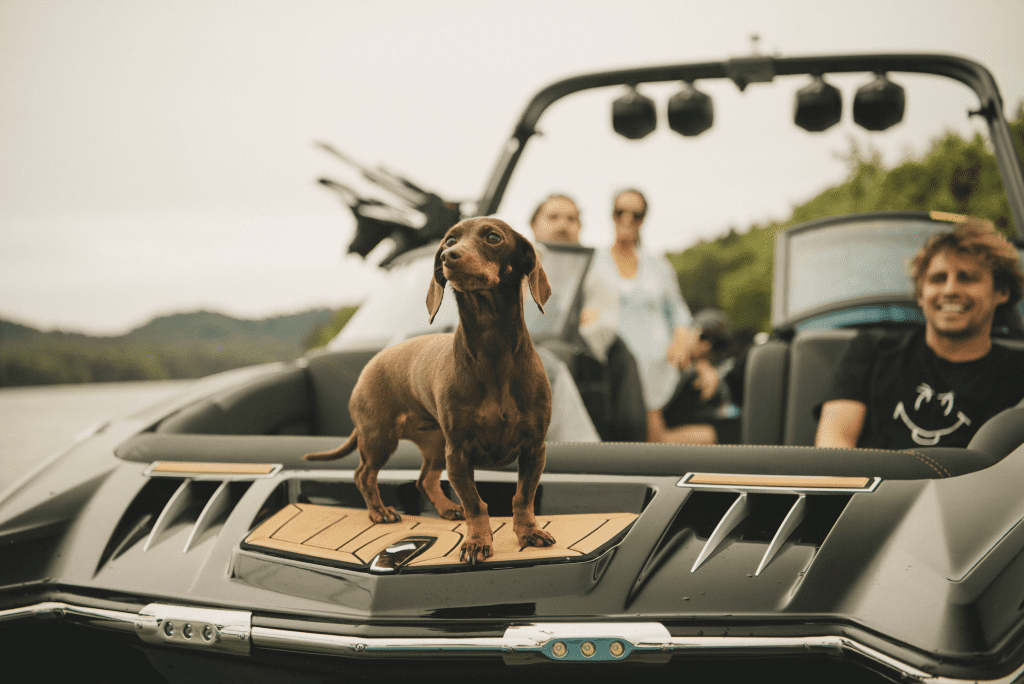 SeaDek redefines boating by making sure it is K-9 Approved