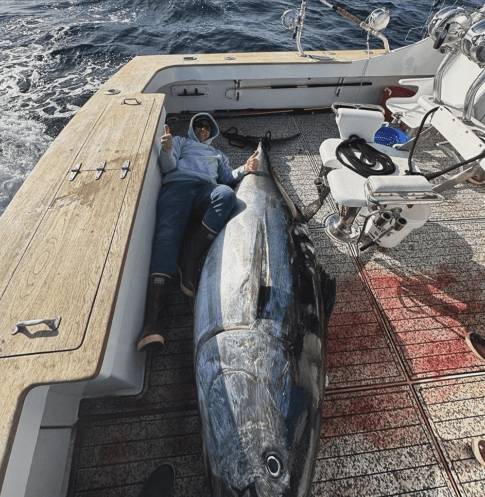 Best Way To Clean SeaDek SeaDek